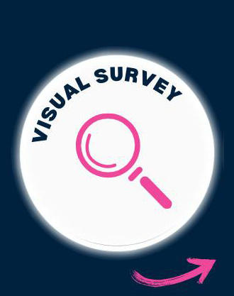 Visual Survey